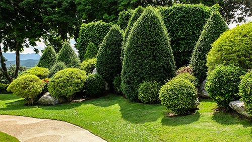 Landscape Trees and Shrubs in Madison County, KY Landscape Supplies in Madison County, KY